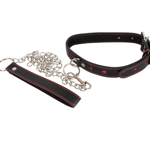Bad Kitty Collar And Leash Exemple