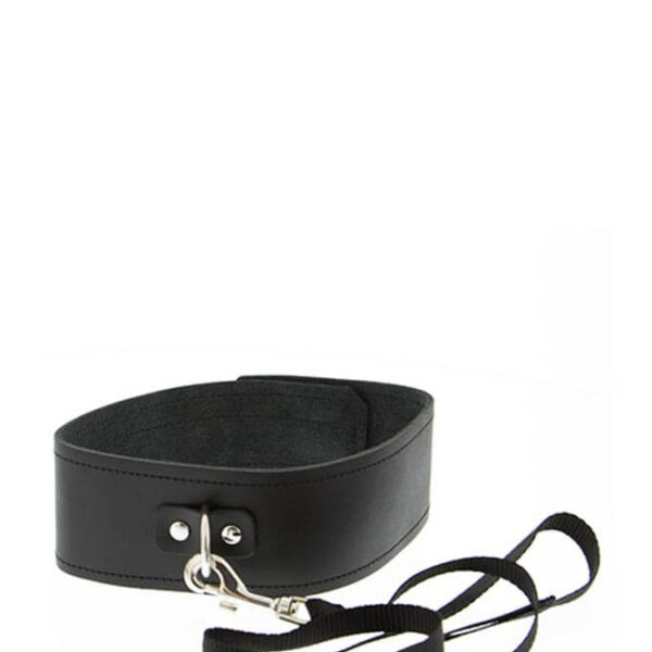 GP Collar And Leash Black Exemple