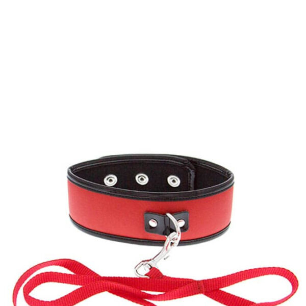 GP Collar And Leash Red Exemple