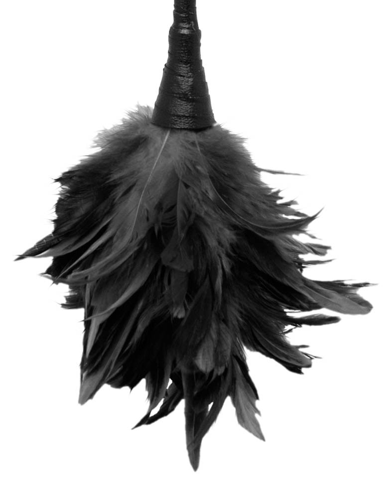 Fetish Fantasy Series Frisky Feather Duster Black - Teasere