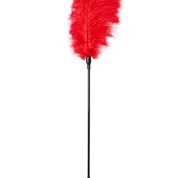GP Large Feather Tickler Red Exemple