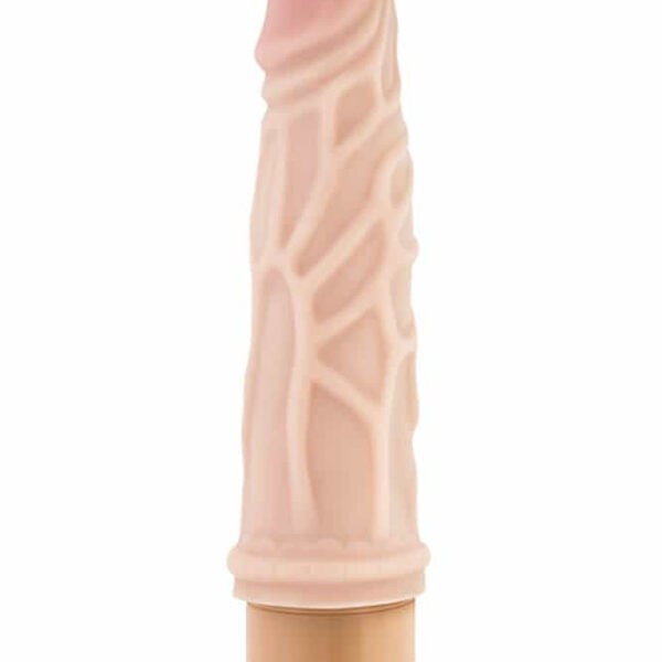 Mr. Skin Cock Vibe 3 Exemple