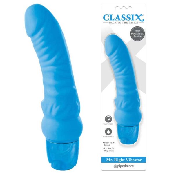 Vibrator-Realistic-Rezistent-La-Apă-Classix-Mr.-Right-Vibrator-Blue